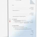 Gegendarstellung Muster Vorlage Zum Download Hübsch Schenkungsvertrag Geld