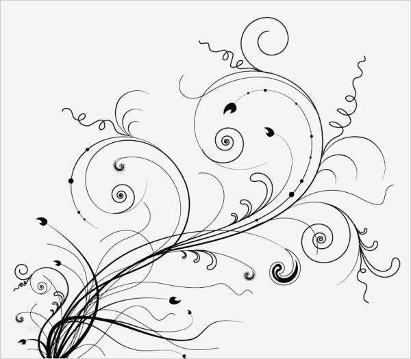 Geometrische ornamente Vorlagen Erstaunlich ลายเส้น เถาวัลย์ ภาพเวกเตอร์ รูปกราฟฟิกลายเส้น ดาวน์โหลด