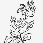 Geometrische ornamente Vorlagen Wunderbar Darmowy Szablon Malarski Do Wydruku Róża Szablony