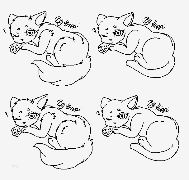 Gimp Visitenkarten Vorlage Wunderbar Vorlagen Gimp Paint Warriorcats Erfindung Wiki