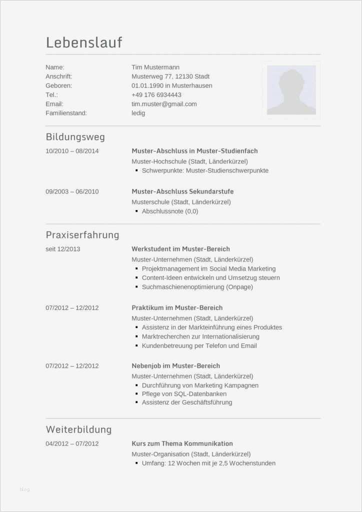 Gratis Lebenslauf Vorlage Großartig 31 Best Images About Lebenslauf Vorlagen & Muster On