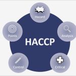 Haccp Entscheidungsbaum Vorlage Best Of Haccp Konzept Gastronomie – Hygienekonzept Für Ein