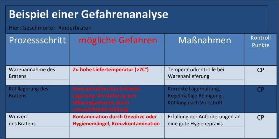Haccp Entscheidungsbaum Vorlage Cool Großartig Kostenlose Haccp Plan Vorlage Fotos Entry