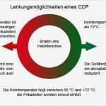 Haccp Entscheidungsbaum Vorlage Einzigartig Wissen Rund Um Hauswirtschaft Haccp Konzept