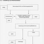 Haccp Entscheidungsbaum Vorlage Elegant Charmant Haccp Flussdiagrammvorlage Galerie Entry Level