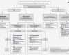 Haccp Entscheidungsbaum Vorlage Erstaunlich Charmant Haccp Flussdiagrammvorlage Galerie Entry Level