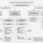Haccp Entscheidungsbaum Vorlage Erstaunlich Charmant Haccp Flussdiagrammvorlage Galerie Entry Level