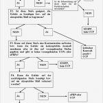 Haccp Entscheidungsbaum Vorlage Süß Groß Entscheidungsbaum Vorlage Bilder Bilder Für Das