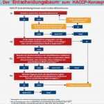Haccp Entscheidungsbaum Vorlage Wunderbar Groß Entscheidungsbaum Vorlage Bilder Bilder Für Das