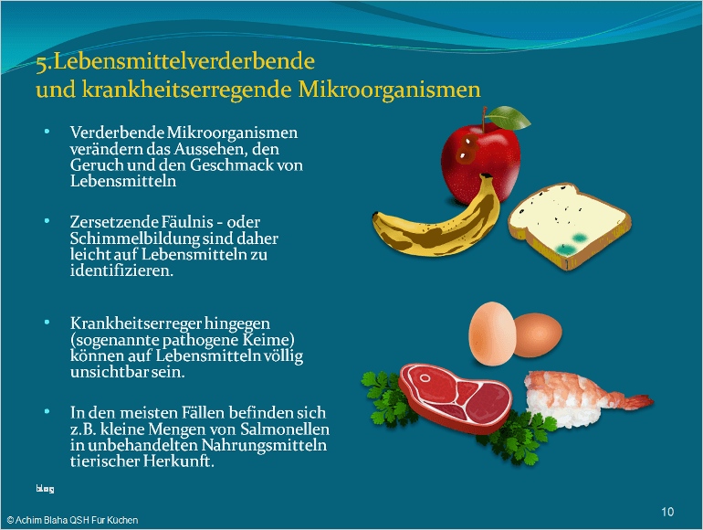 Haccp Schulung Vorlage Schön Haccp Hygieneschulung Haccp Schulung Auf Cd Rom Vorlage