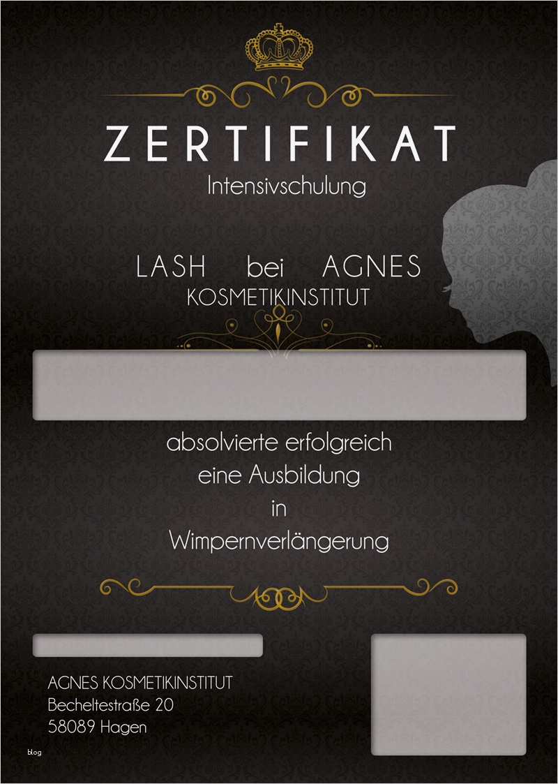 Hamburger Mietvertrag Vorlage Großartig Schön Zertifikat Für Die Ausbildung Fotos Bilder Für