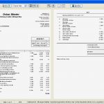 Handwerkerrechnung Muster Vorlage Genial A1 Faktura Plus Download
