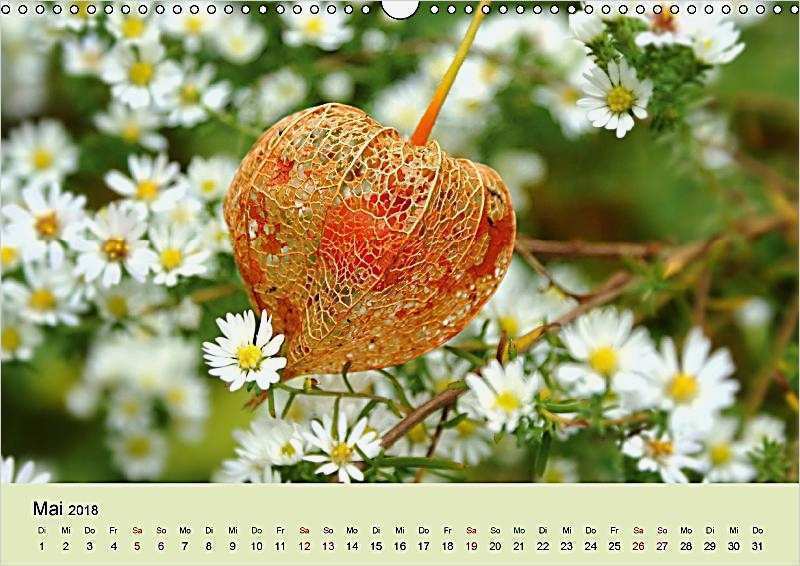Herz Vorlage Din A3 Angenehm Herz En In Der Natur Wandkalender 2018 Din A3 Quer