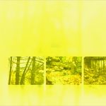 Hintergrund Powerpoint Vorlagen Wunderbar Kostenlos Download Bilder Gespiegelte Vor Einem