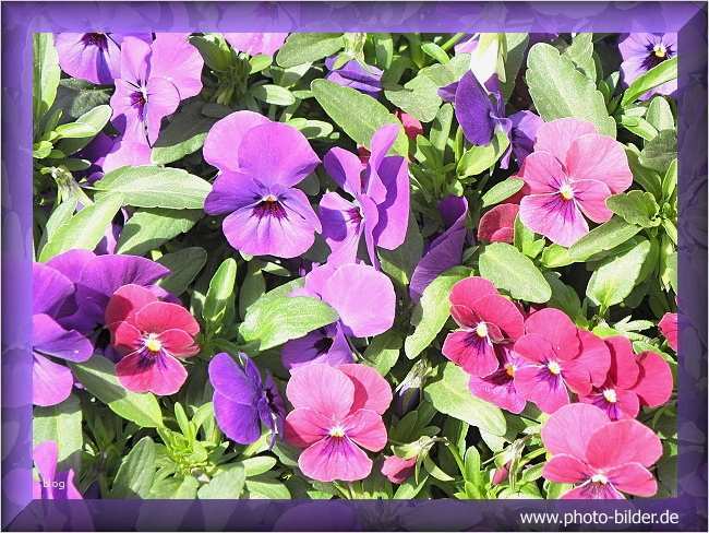 Homepage Vorlagen Kostenlos Gewerblich Best Of Homepage Vorlagen Download Kostenlos Filesphere