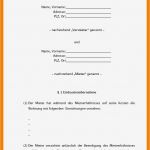 Homepage Vorlagen Kostenlos Gewerblich Wunderbar Großartig Vorlage Kaufvertrag Fotos Entry Level Resume