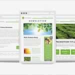 Html Newsletter Vorlagen Neu 9 Free Responsive E Mail Templates