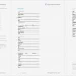 Html Newsletter Vorlagen Süß Mediasuite – Word Dokumentvorlage Referenz Microsoft Word