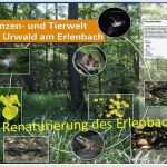 Html Startseite Vorlage Schön Nabu HTML Vorlage Startseite