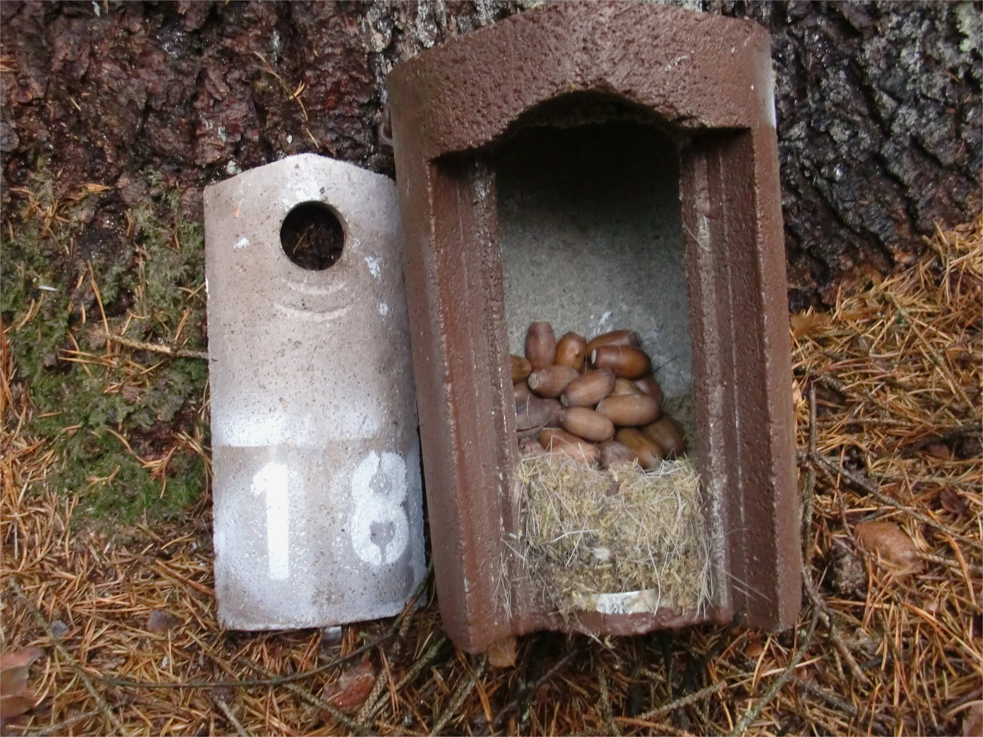 Html Startseite Vorlage Schönste Nabu HTML Vorlage Startseite