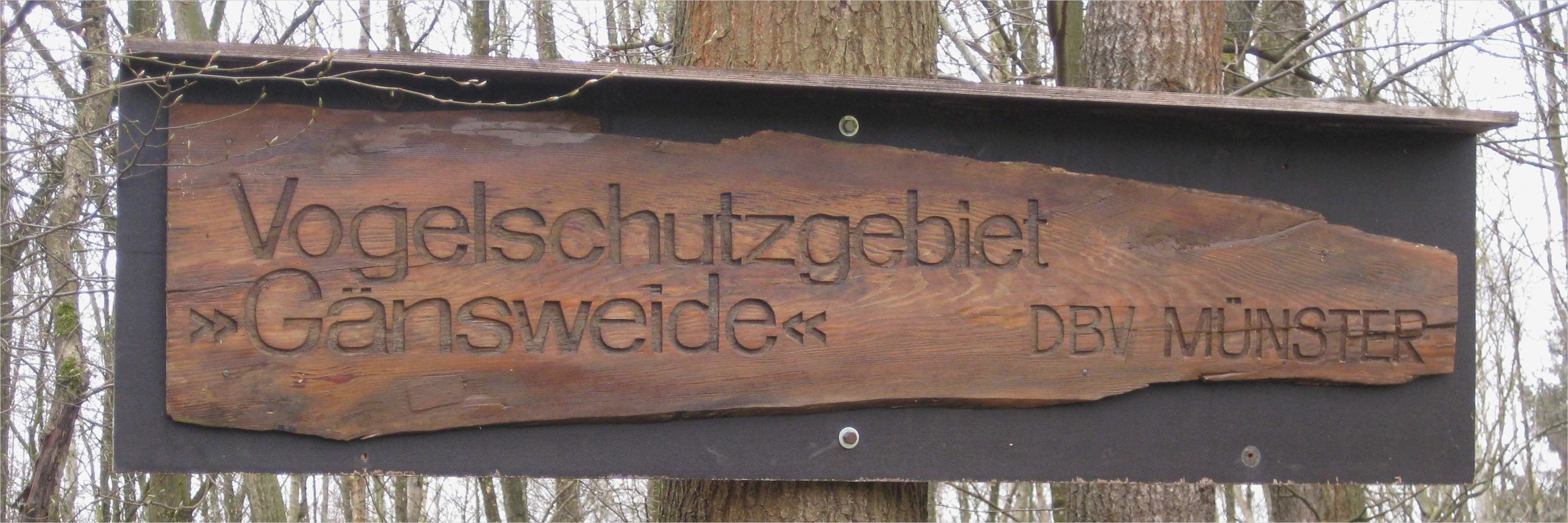 Html Startseite Vorlage Schönste Nabu HTML Vorlage Startseite