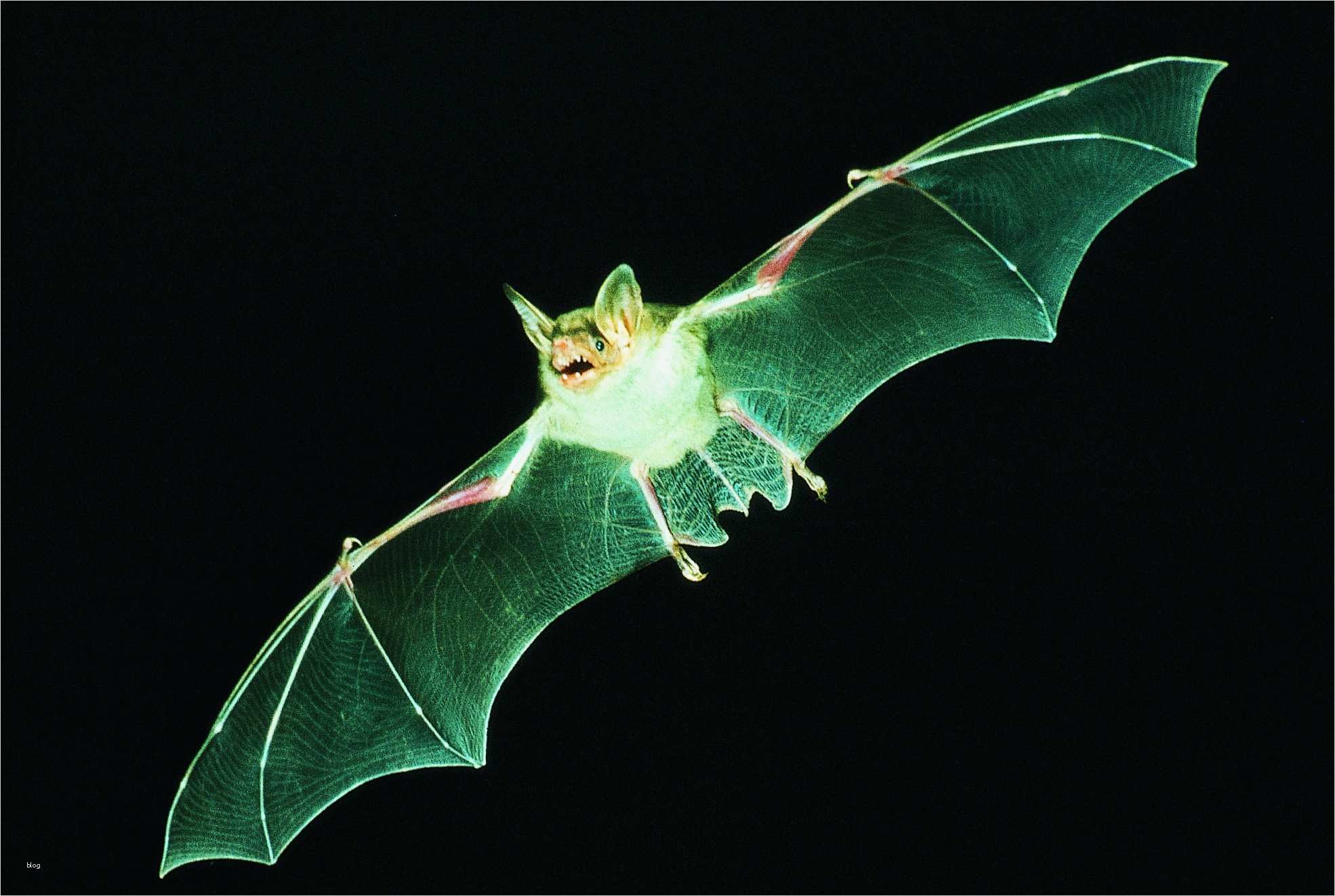 Html Startseite Vorlage Süß Nabu HTML Vorlage Startseite