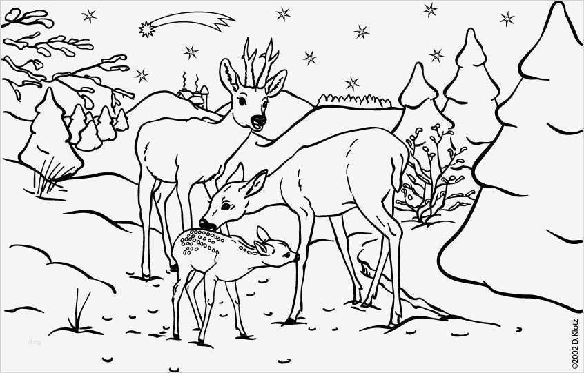 Hummel Stickbilder Vorlagen Erstaunlich Ausmalbilder Elch Kostenlos Malvorlagen Zum Ausdrucken