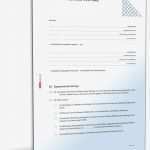 Hundesitter Vertrag Vorlage Erstaunlich software Service Vertrag