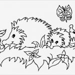 Igel Zeichnen Vorlagen Erstaunlich Igel Malvorlagen Malvorlagen1001