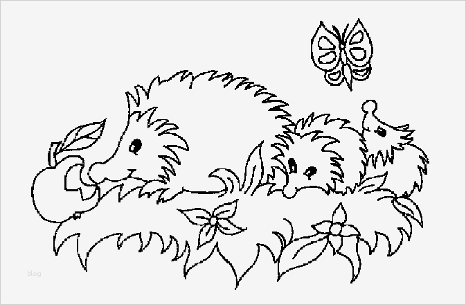 Igel Zeichnen Vorlagen Erstaunlich Igel Malvorlagen Malvorlagen1001