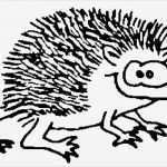Igel Zeichnen Vorlagen Großartig Ausmalen Wuschels Malvorlagen