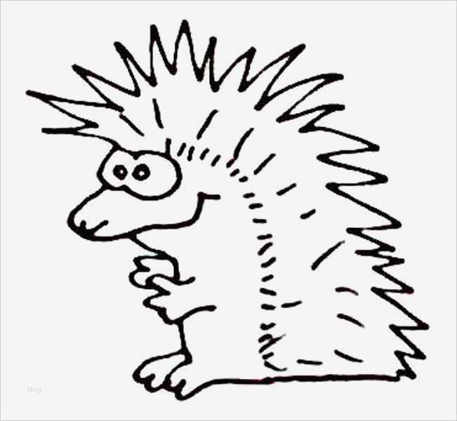 Igel einfach zeichnen und ausmalen: Kreativer Spaß für Groß und Klein!