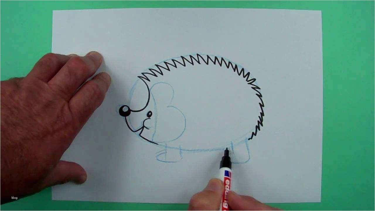 Igel Zeichnen Vorlagen Neu Wie Zeichnet Man Einen Igel Zeichnen Für Kinder