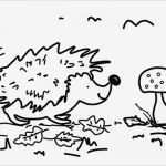 Igel Zeichnen Vorlagen Wunderbar Einfache Malvorlagen Kostenlose Ausmalbilder Lustige