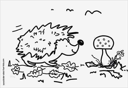 Igel Zeichnen Vorlagen Wunderbar Einfache Malvorlagen Kostenlose Ausmalbilder Lustige
