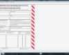 Imo Erklärung Vorlage Schön Anyform Kostenlose formularvorlagen Für Zollformulare
