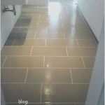 Informatik Bewerbung Vorlage Erstaunlich Gallery Of Bewerbung Lebenslauf Ausbildungsplatz It