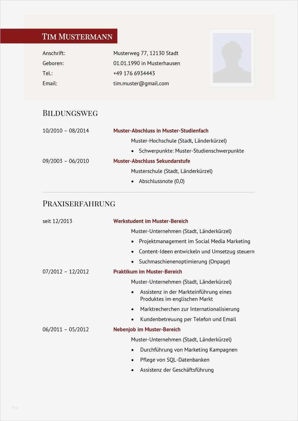 Informatik Bewerbung Vorlage Inspiration Lebenslauf Muster Für Führungskraft