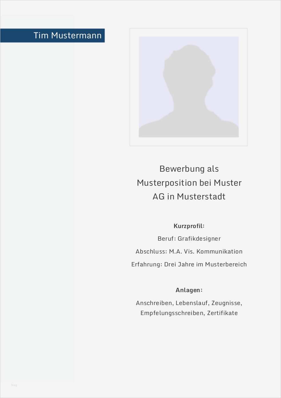 Informatik Bewerbung Vorlage Schönste Deckblatt Informatik