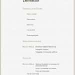 Informatik Bewerbung Vorlage Wunderbar Berühmt Informatik Lebenslauf Vorlage Fotos