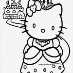 Inhaltsverzeichnis Vorlage Excel Wunderbar Erfreut Inhaltsverzeichnis Vorlage Bilder