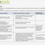 Internes Kontrollsystem Vorlage Bewundernswert Vorlage Internes Kontrollsystem Iks Wohlfahrtsstiftung