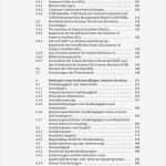 Internes Kontrollsystem Vorlage Erstaunlich Niedlich Gesetz Internes Ziel Galerie Entry Level Resume