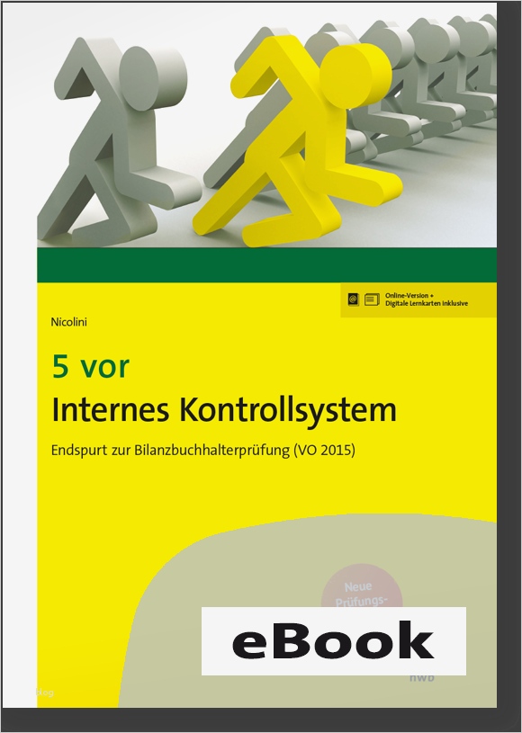 Internes Kontrollsystem Vorlage Inspiration 5 Vor Internes Kontrollsystem