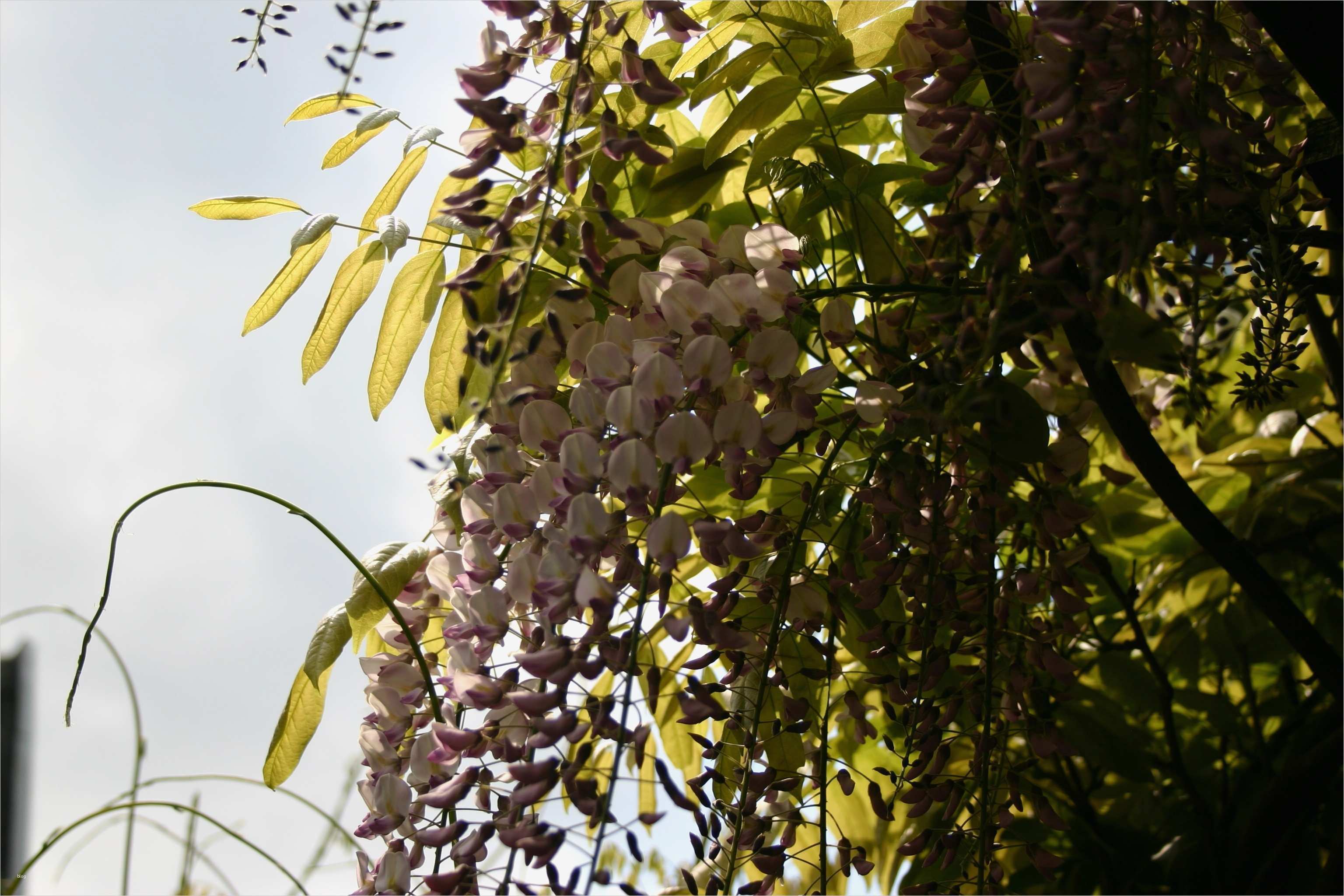 Internetseiten Design Vorlagen Cool Webdesign Kevelaer Erstellung Internetseiten Kreis Kleve