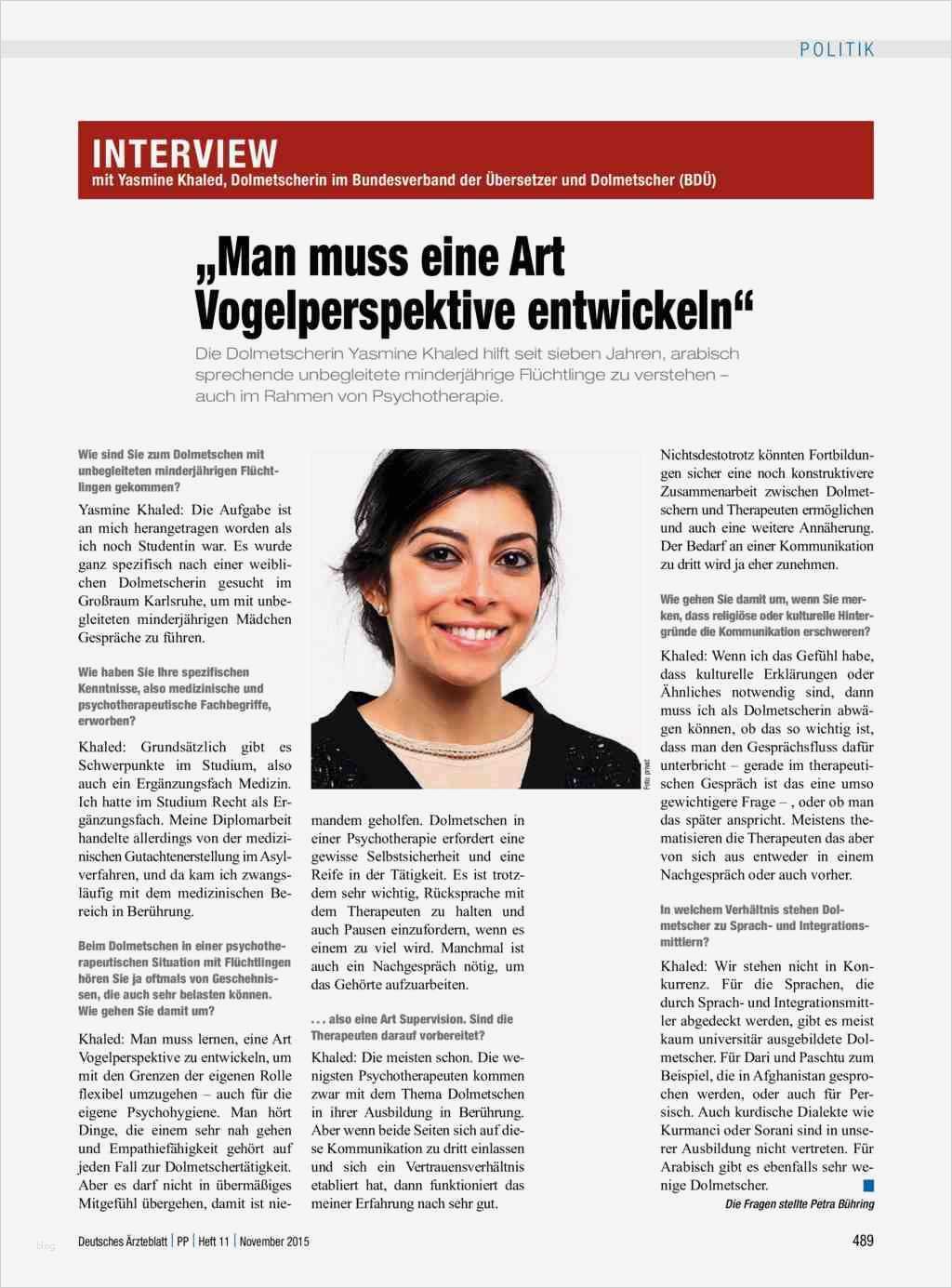 Interview Einleitung Vorlage Schönste Inhaltsverzeichnis