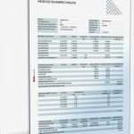 Investitionsrechnung Excel Vorlage Beste Nett Haus Leasing Vorlage Galerie Entry Level Resume