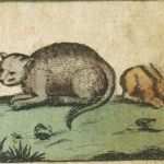 Jährliche Unterweisung Gabelstaplerfahrer Vorlage Erstaunlich Die Besten 25 Unterweisung Ideen Auf Pinterest