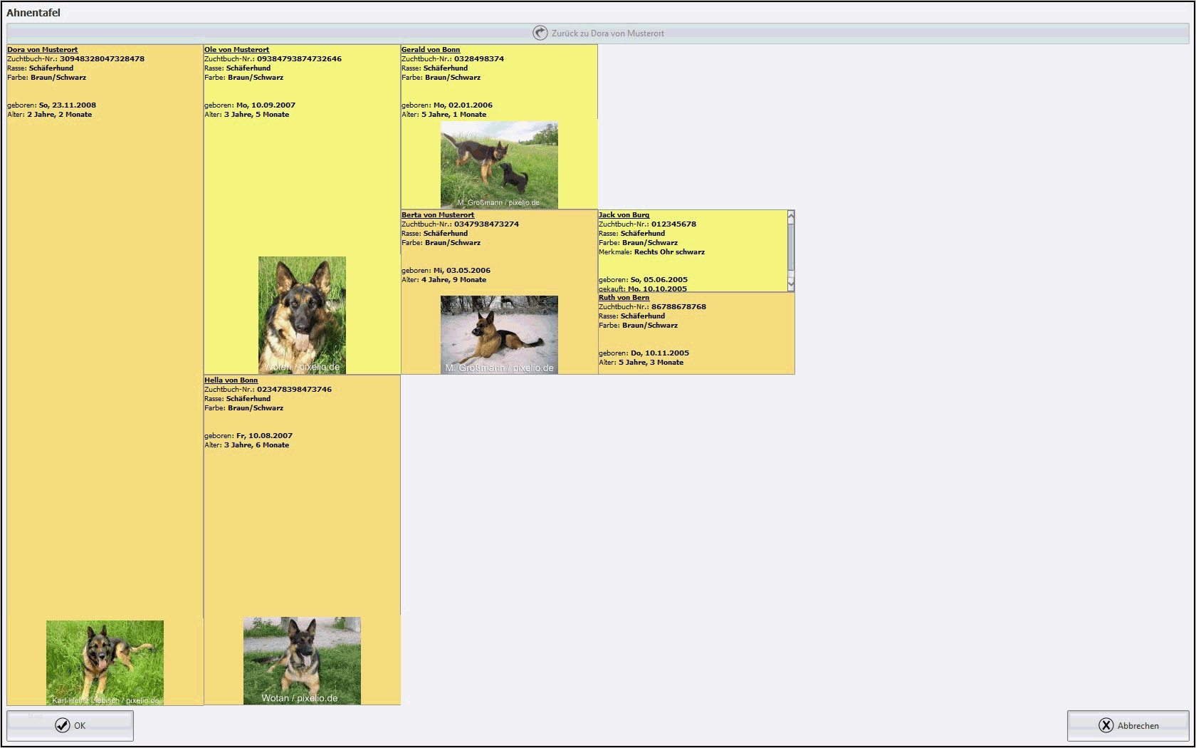 Kaninchen Zuchtbuch Vorlage Beste Ziemlich Stammbaum Stammbaum Vorlage Galerie Entry Level