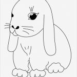 Kaninchen Zuchtbuch Vorlage Cool Gratis Ausmalbilder Kaninchen Ausmalbilder